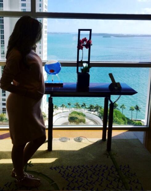 Marjorie de Sousa en su último mes de embarazo