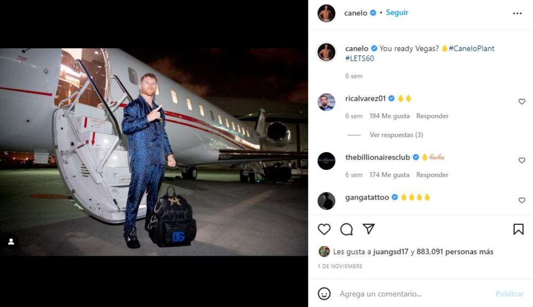 Saúl “Canelo” Álvarez adquiere gato de casi 20 mil pesos