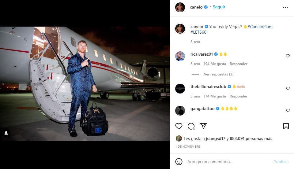 Saúl “Canelo” Álvarez adquiere gato de casi 20 mil pesos