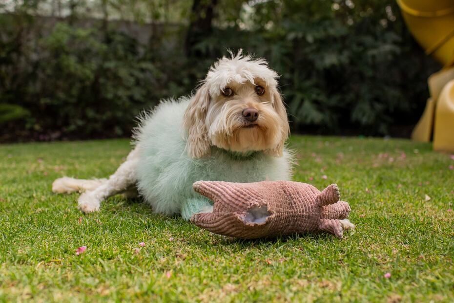 Lola/Esteban Torreblanca.