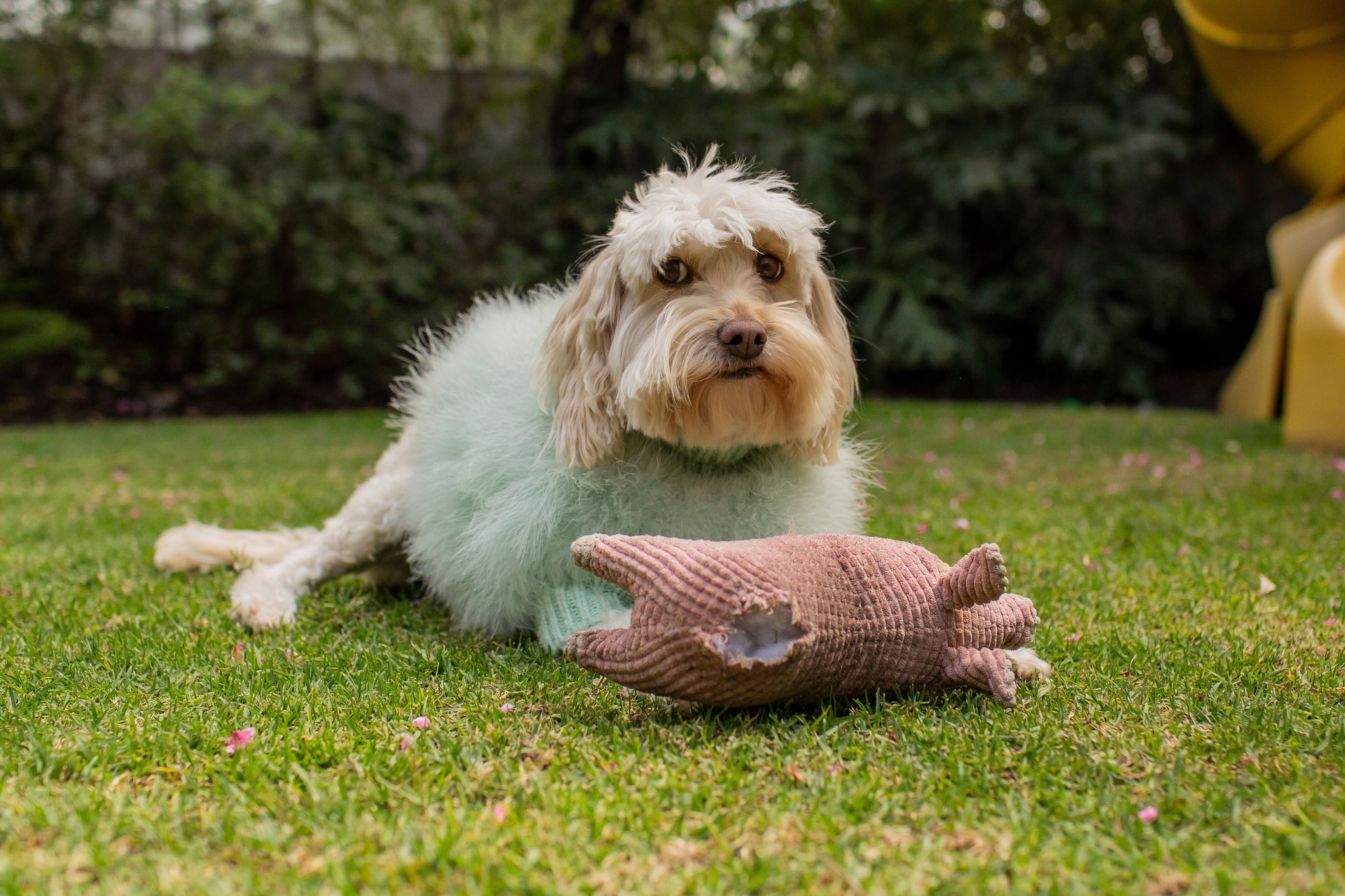Lola/Esteban Torreblanca.