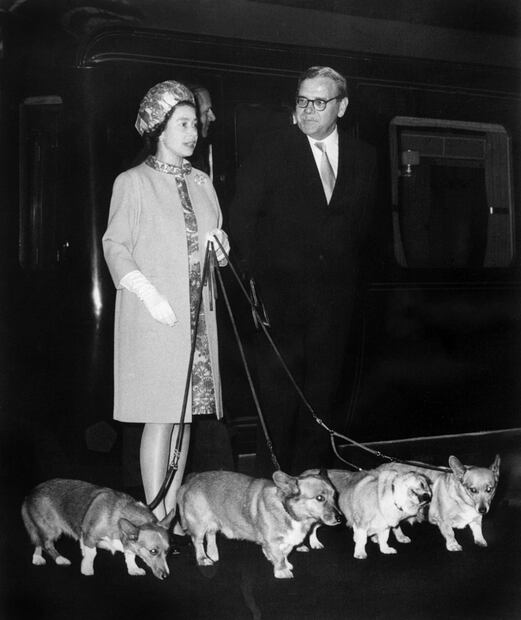 El etólogo de los corgis de Isabel II preocupado por shock tras pandemia