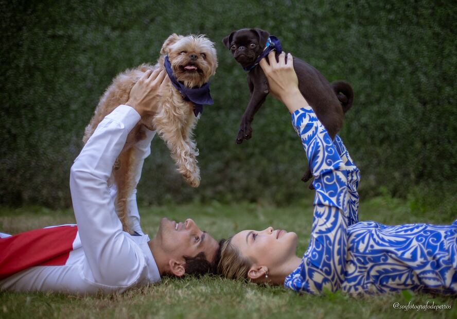 Lylo Fa, Rommel Pacheco/Presume a tu mascota/@soyfotografodeperros y Cortesía