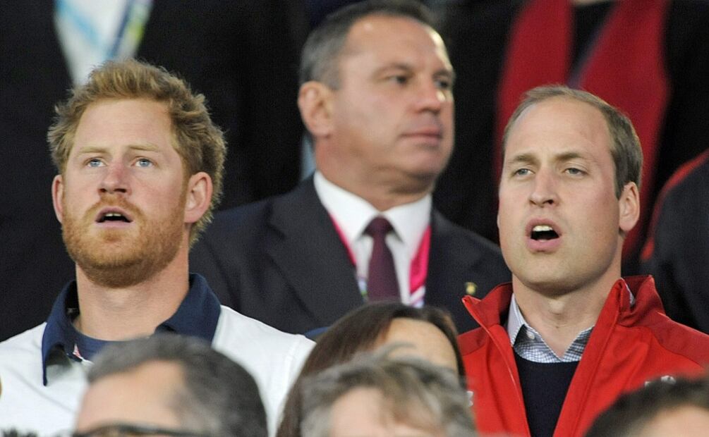 Los príncipes William y Harry  / Foto: EFE