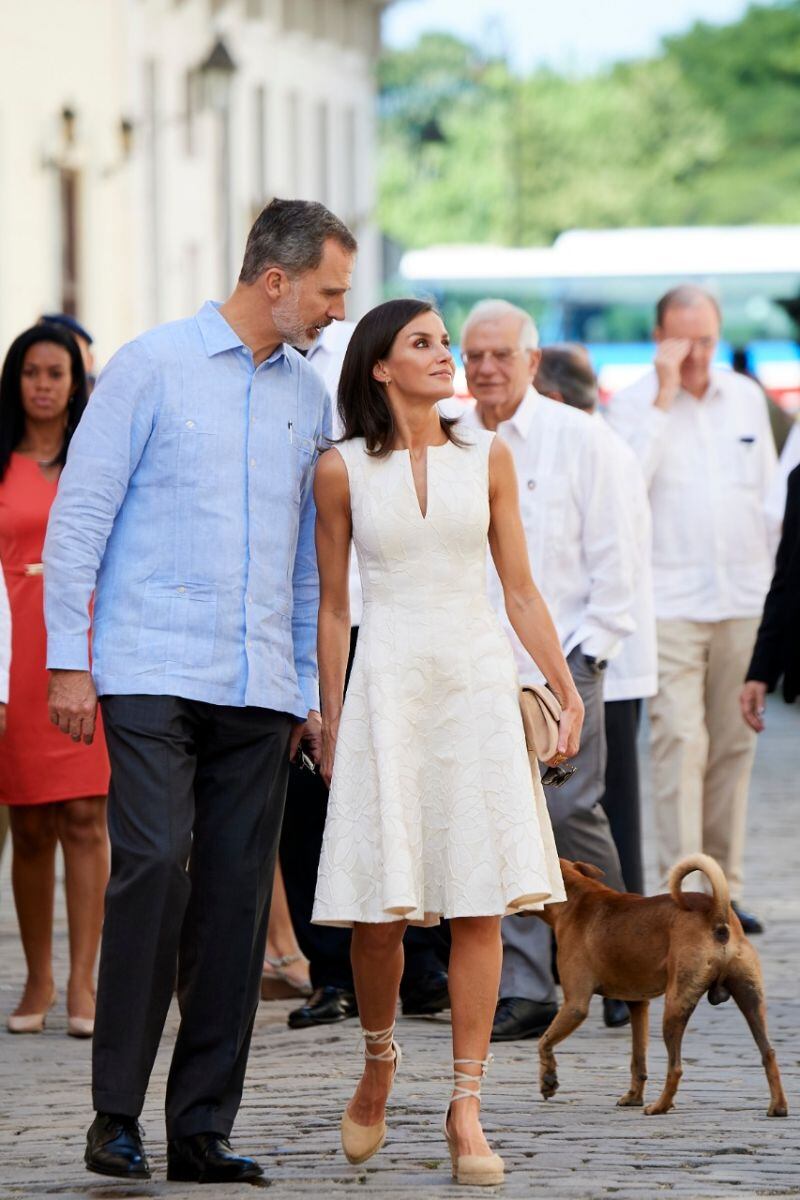 Foto: La reina Letizia y el rey Felipe con un perro callejero se hace viral