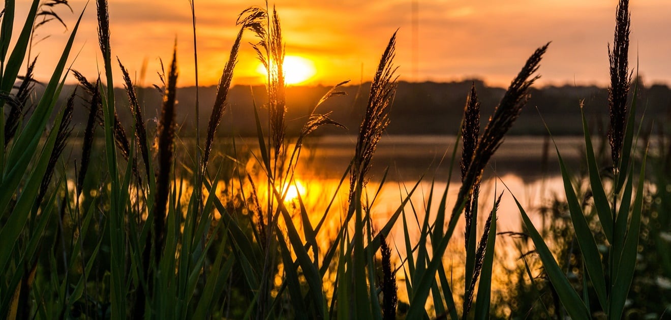 <p>Todos tenemos la capacidad de ser espirituales desde el lugar en el que nos encontremos. <b>(Fotos: Especiales)</b></p>
