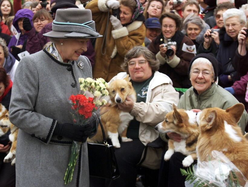 Conoce el exquisito y fino menú de los perros de la reina Isabel II