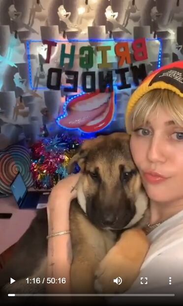 Miley Cyrus adopta perro abandonado en crisis del coronavirus