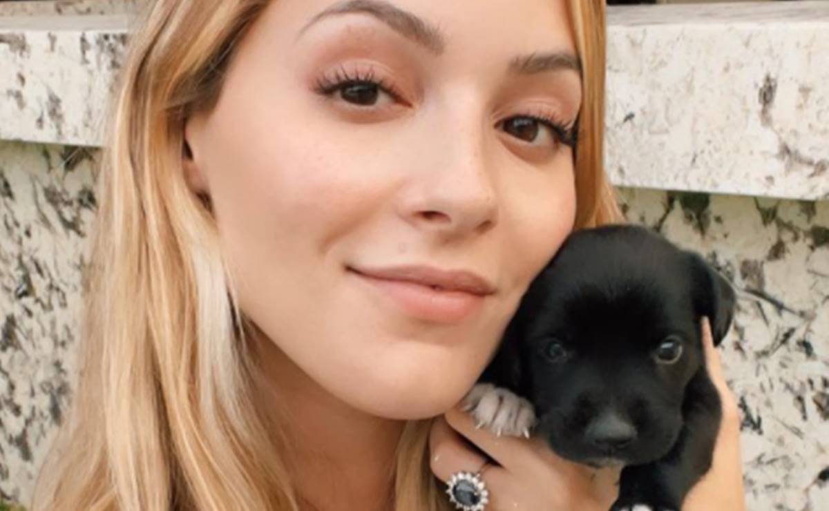 Mariana Rodríguez se pronuncia a favor de la adopción: "no lucres con tus perros"