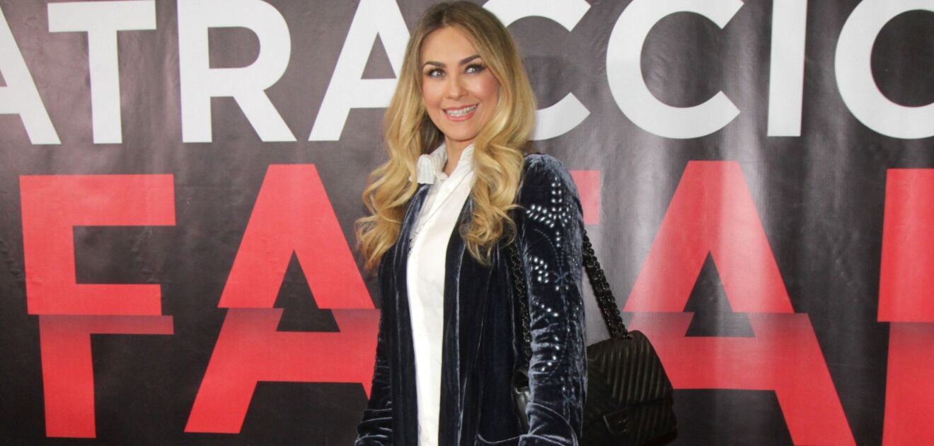 Así celebró Aracely Arámbula el cumpleaños de Miguel, su hijo con Luis Miguel