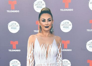 Aracely Arámbula evita que graben a su hijo en Los Ángeles