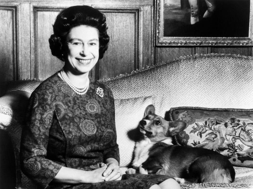 La reina Isabel II con uno de sus corgis / Foto: AFP