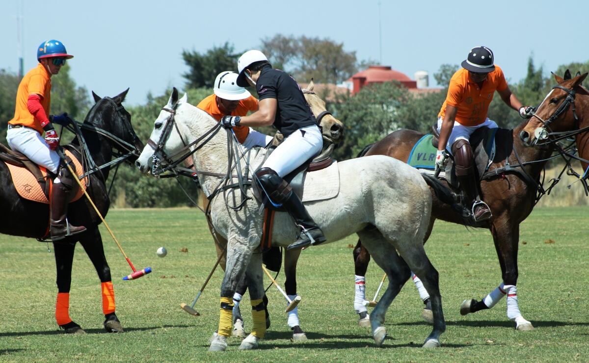 ¡Regresan al polo!