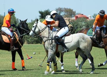 ¡Regresan al polo!