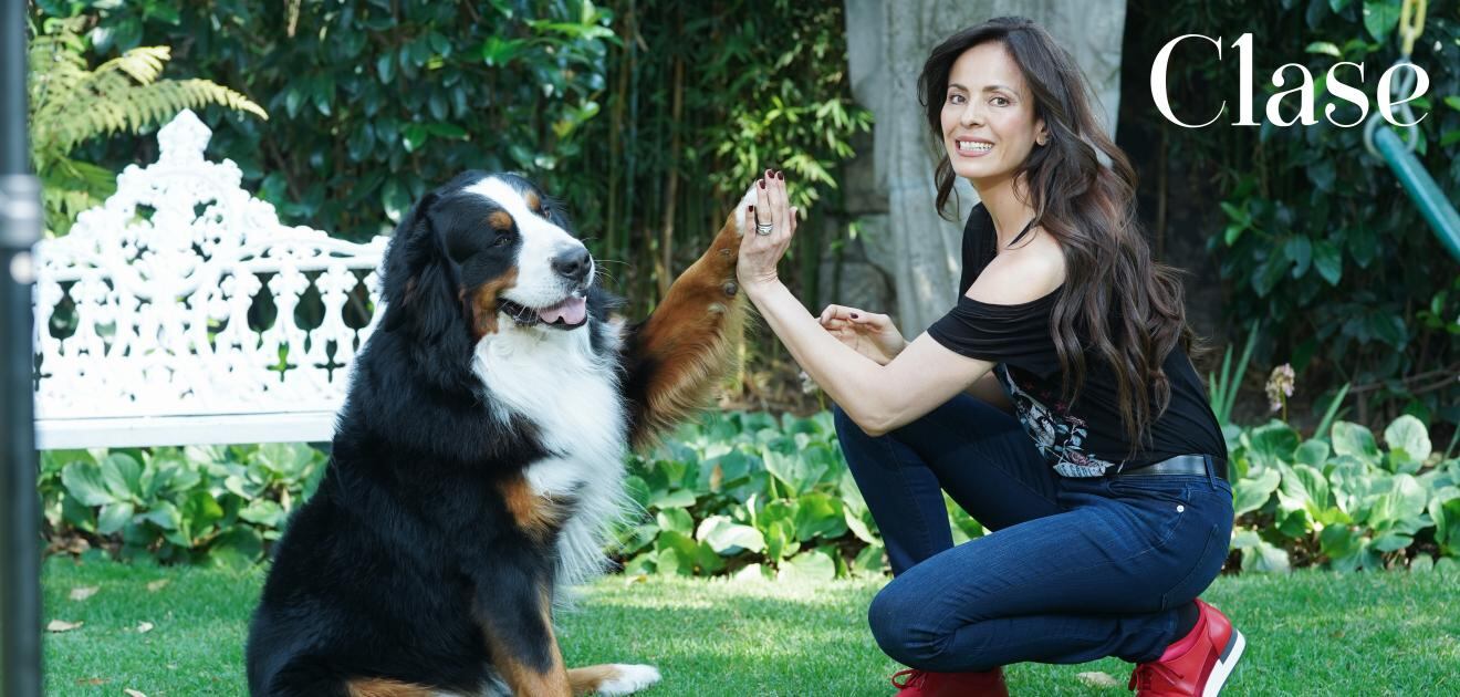 Claudia Estrada nos presenta a 'Joy', su Bernés de la montaña