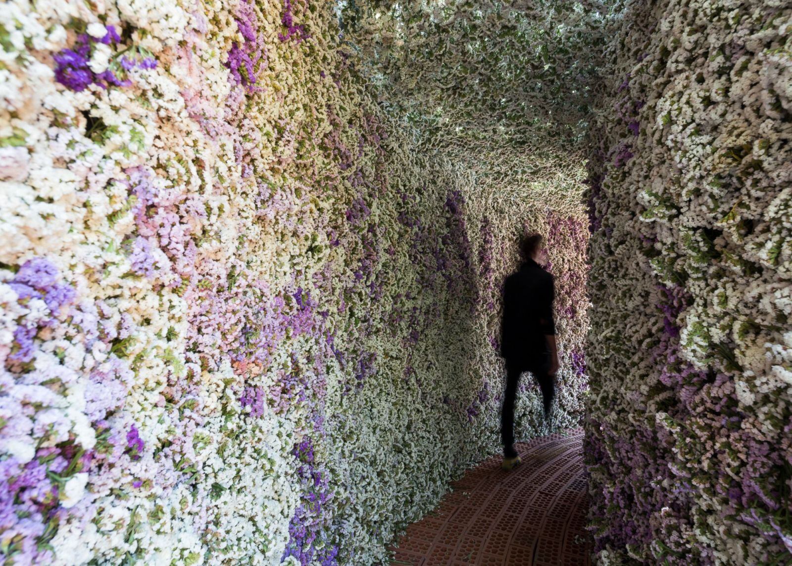 Paty Elías Calles: La creadora de FYJA