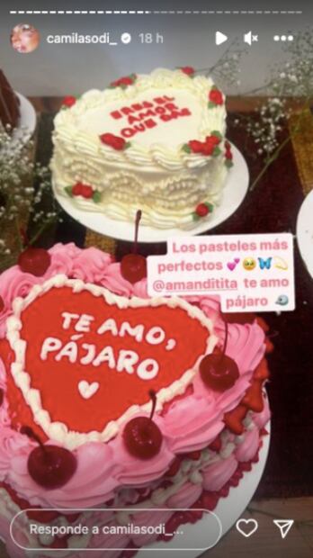 La íntima y casual celebración de Camila Sodi por su cumpleaños 37
