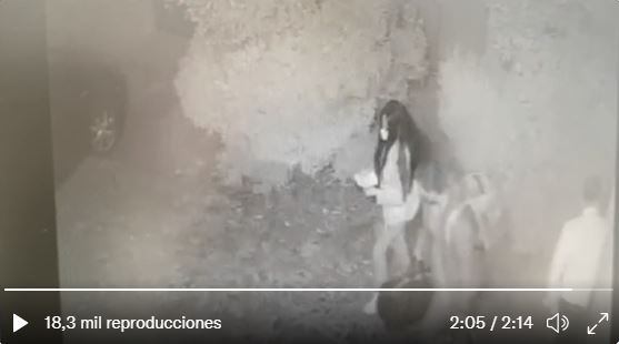 Cómo detuvieron a la ex miss mexicana Priscila Lara Guevara