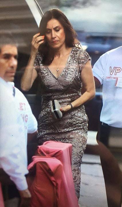 FOTOS: La boda de Eruviel Ávila y María Irene Dipp Walther