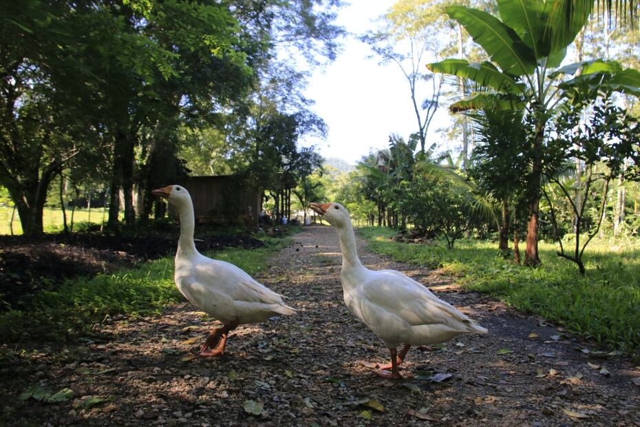 Así es la Finca Rocío de los hijos del presidente López Obrador