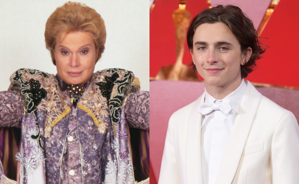 Timothée Chalamet, el actor favorito de Walter Mercado para su película