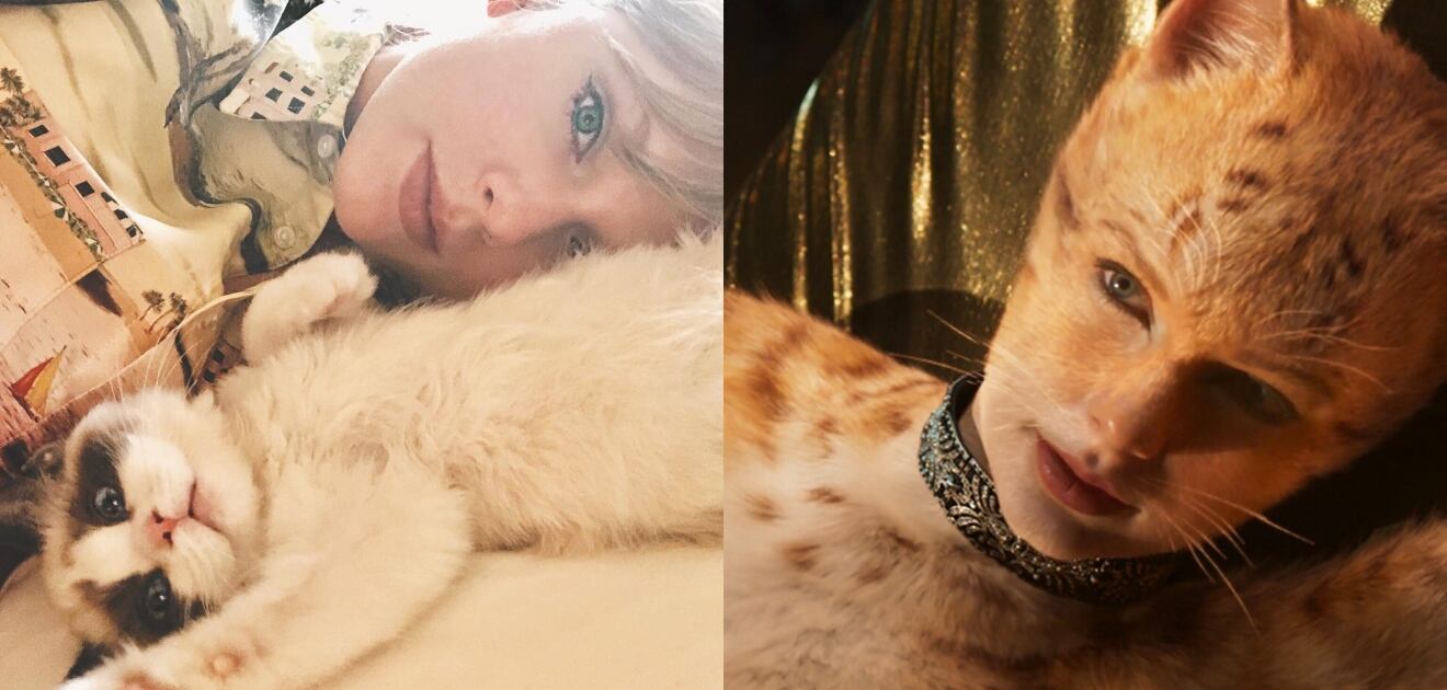 Taylor Swift asegura que estudió en una escuela de gatos