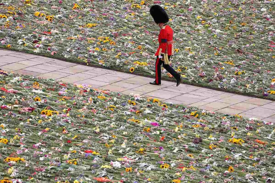 ¿Qué pasará con el mar de flores que dejaron por la muerte de Isabel II? Esto
