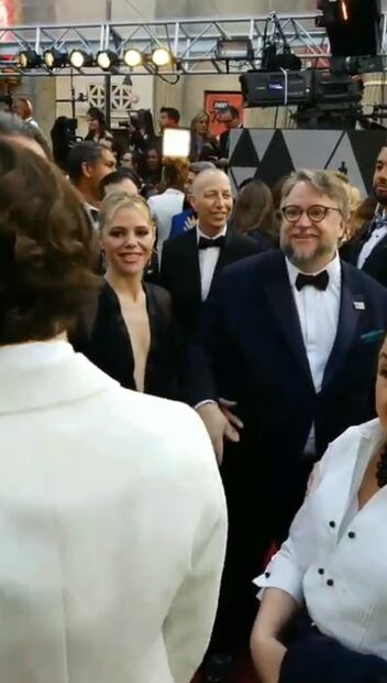 10 fotos que demuestran que Del Toro y Kim Morgan están enamorados