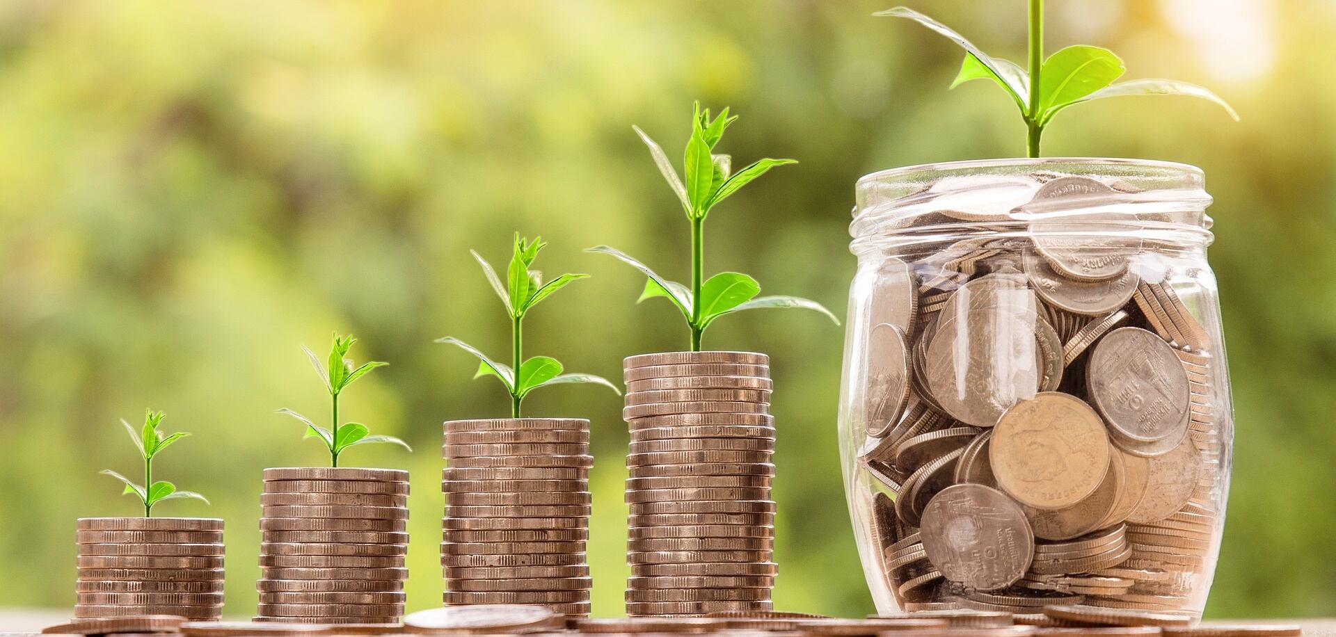 ¿Cómo atraer el dinero a tu vida?