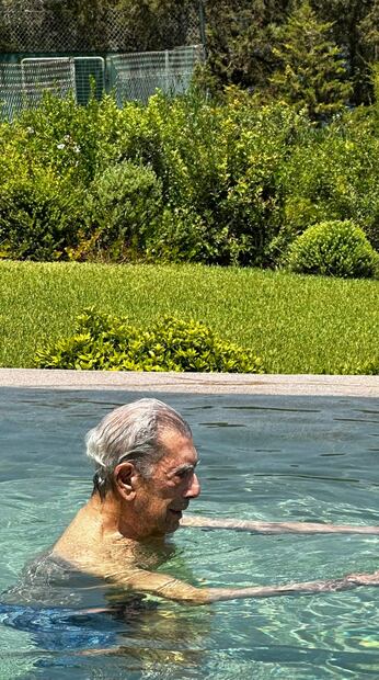 Álvaro, el hijo de Mario Vargas Llosa, compartió una foto de sus últimas vacaciones / Foto: X