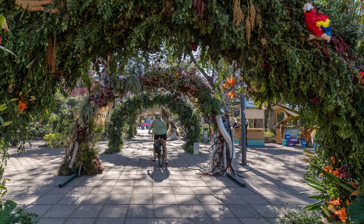 Jardines, colores y flores: Esto es lo que podrás encontrar en el FYJA 2026 