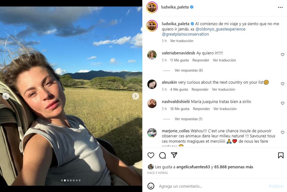 Instagram: @ludwika_paleta