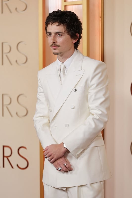 Timothée Chalamet / Foto: AFP