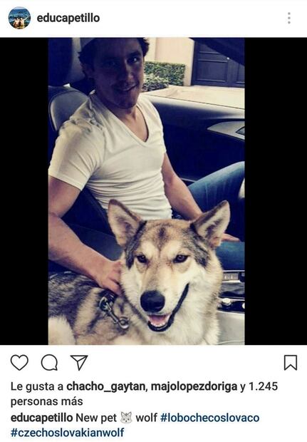 Así es la vida de Eduardo Capetillo Gaytán, hijo de Bibi Gaytán y Eduardo Capetillo