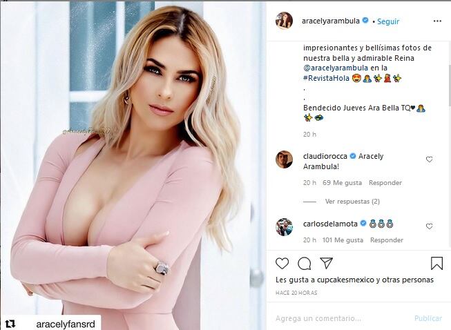 Actor halaga a Aracely Arámbula y le pide matrimonio