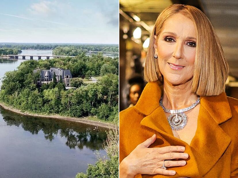 Céline Dion / Fotos: Instagram
