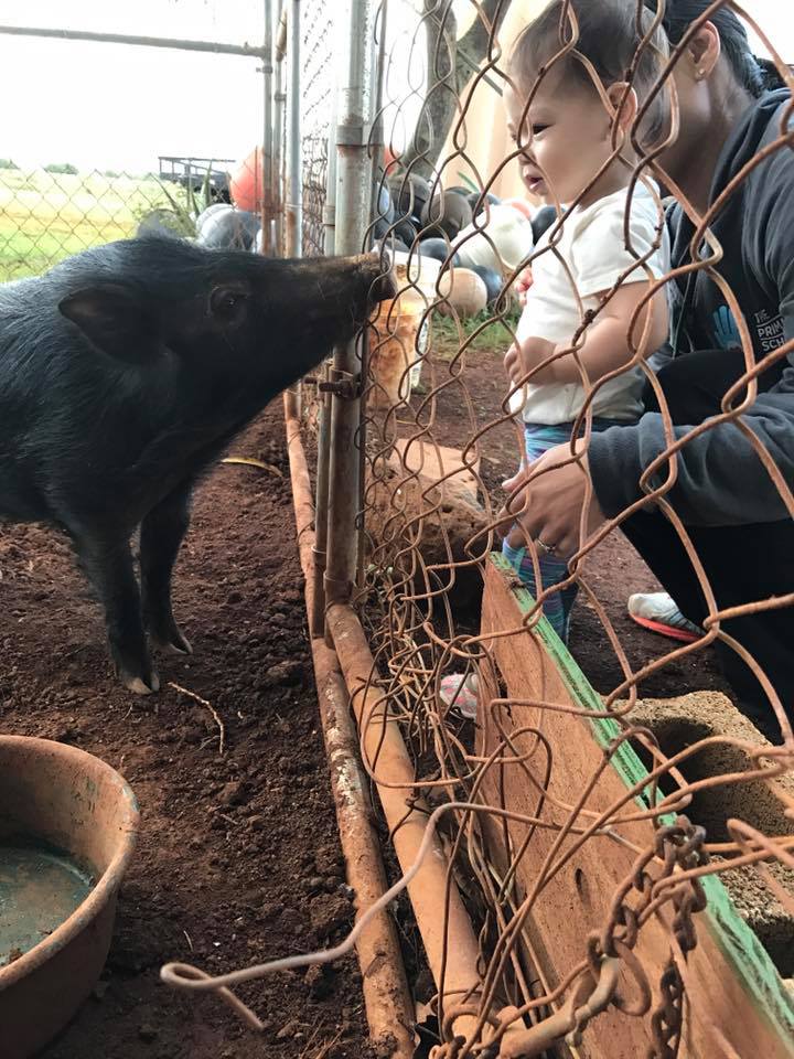 Las vacaciones de Mark Zuckerberg y su familia en Kauai