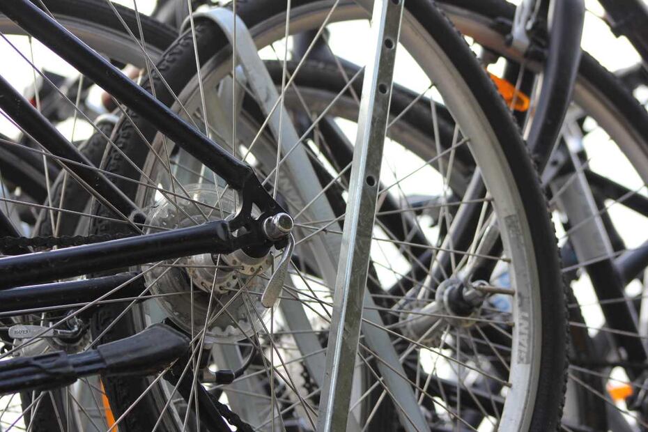 ¿Pedaleamos? Conoce el mundo desde otro punto de vista