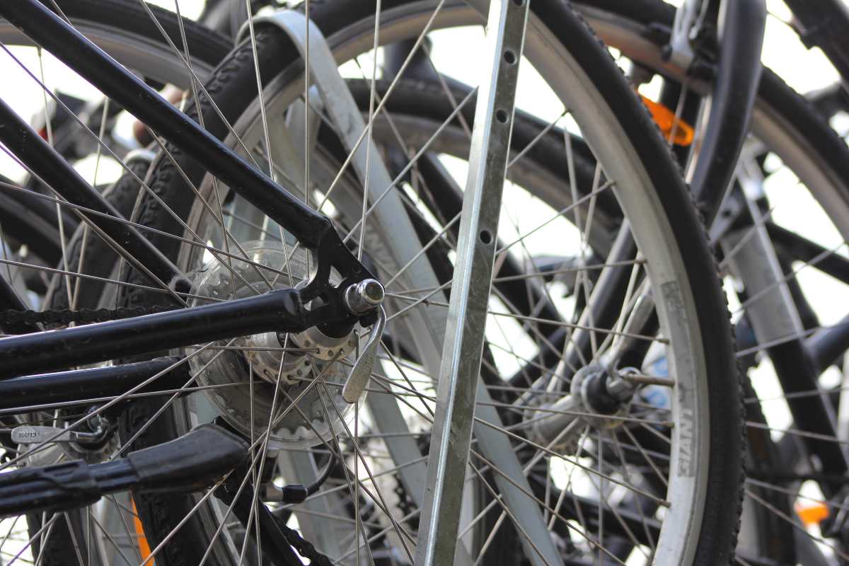 ¿Pedaleamos? Conoce el mundo desde otro punto de vista