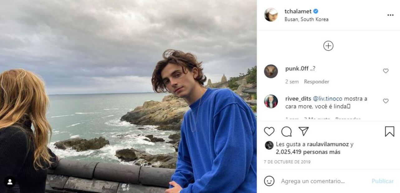 Timothée Chalamet será Willy Wonka