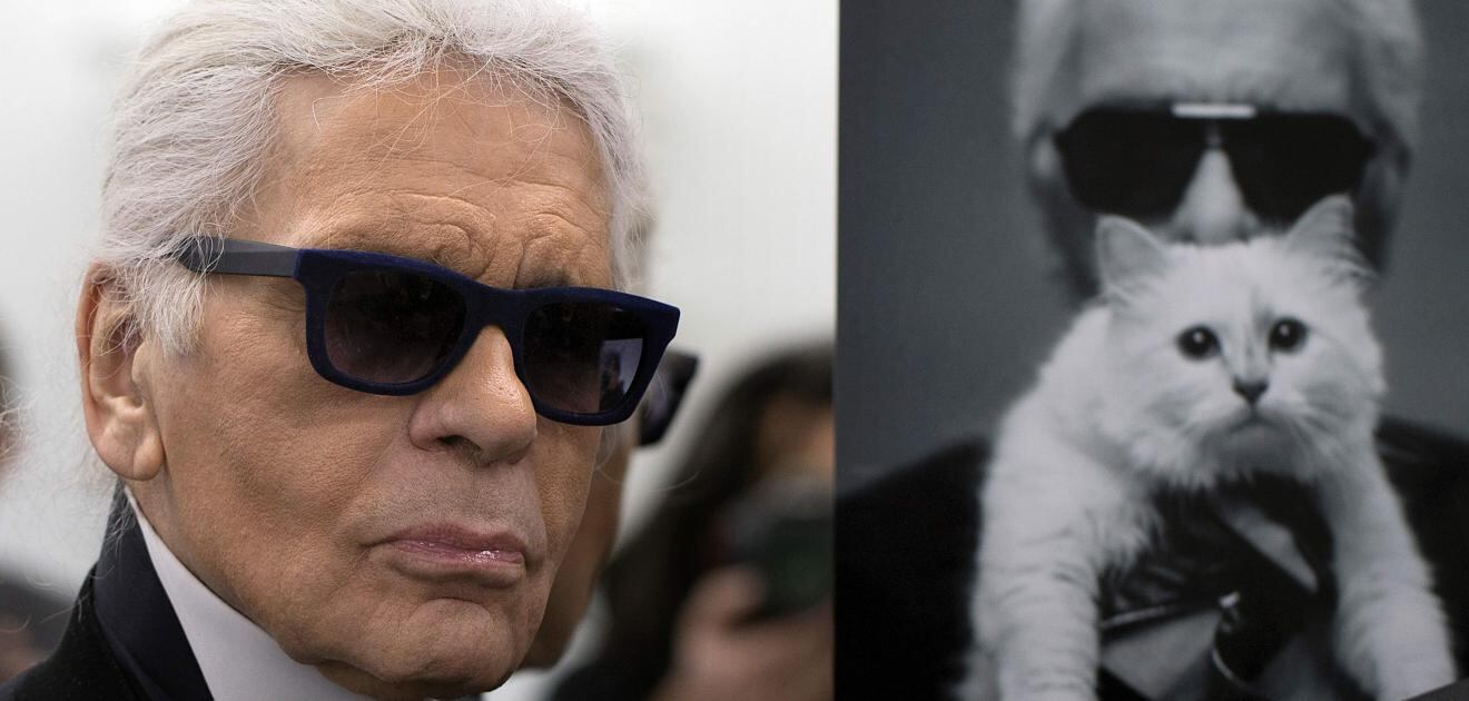 Choupette, la gatita de Karl Lagerfeld, se despide de su "papá" con conmovedora carta