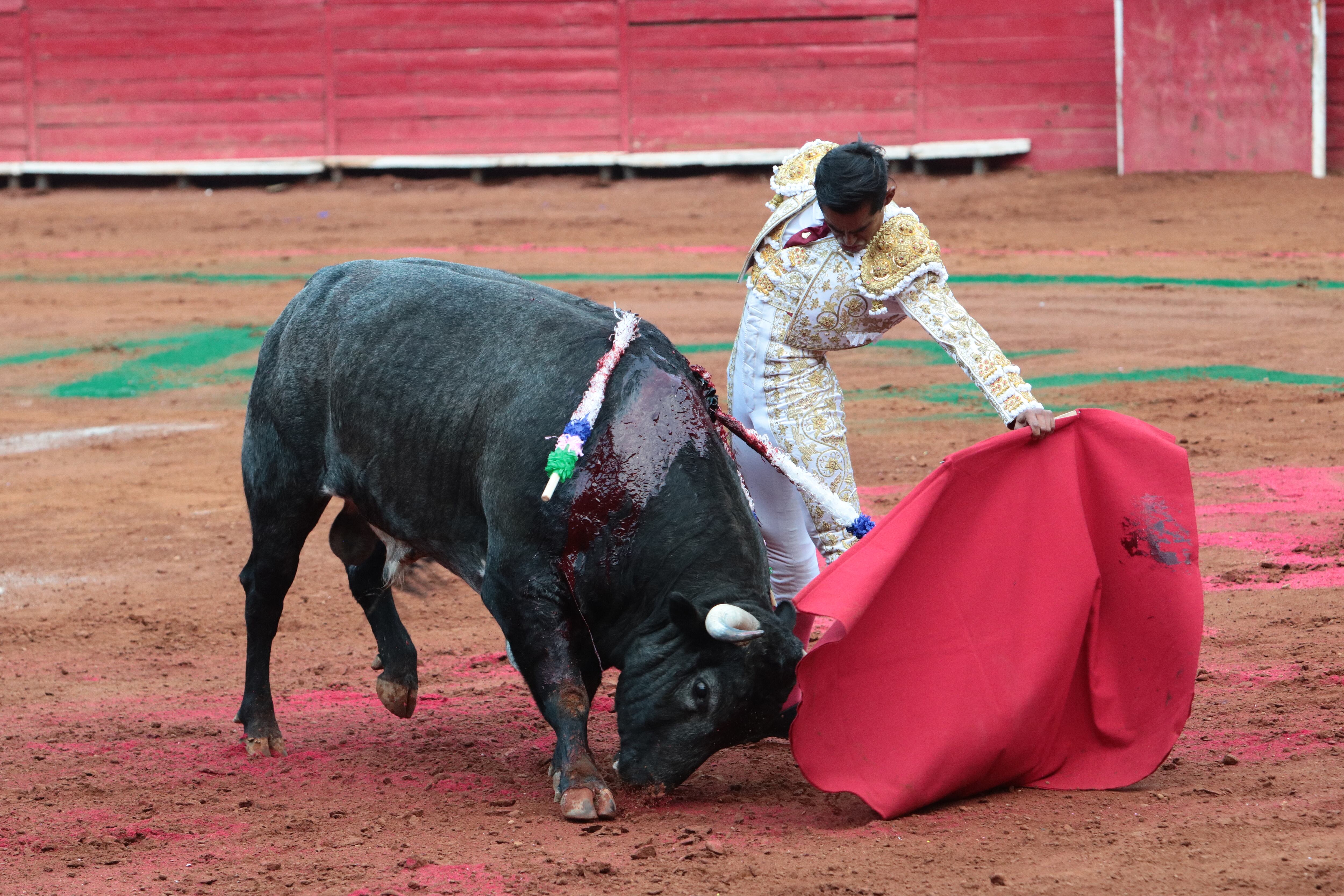Alejandro Adame. (Foto: Ricardo Hernández)