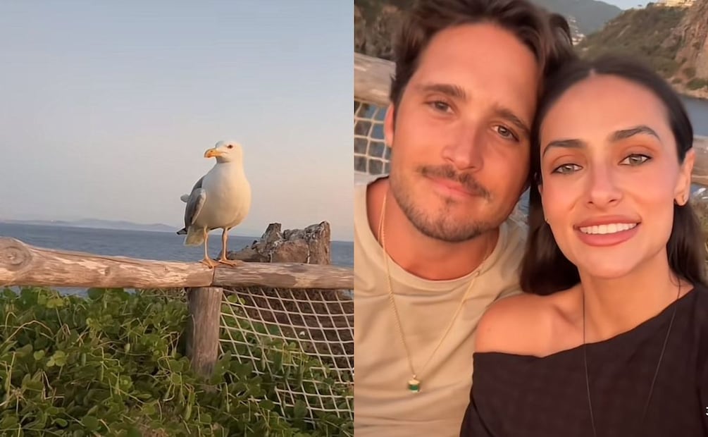 Renata Notni y Diego Boneta protagonizaron un divertido momento / Fotos: Captura