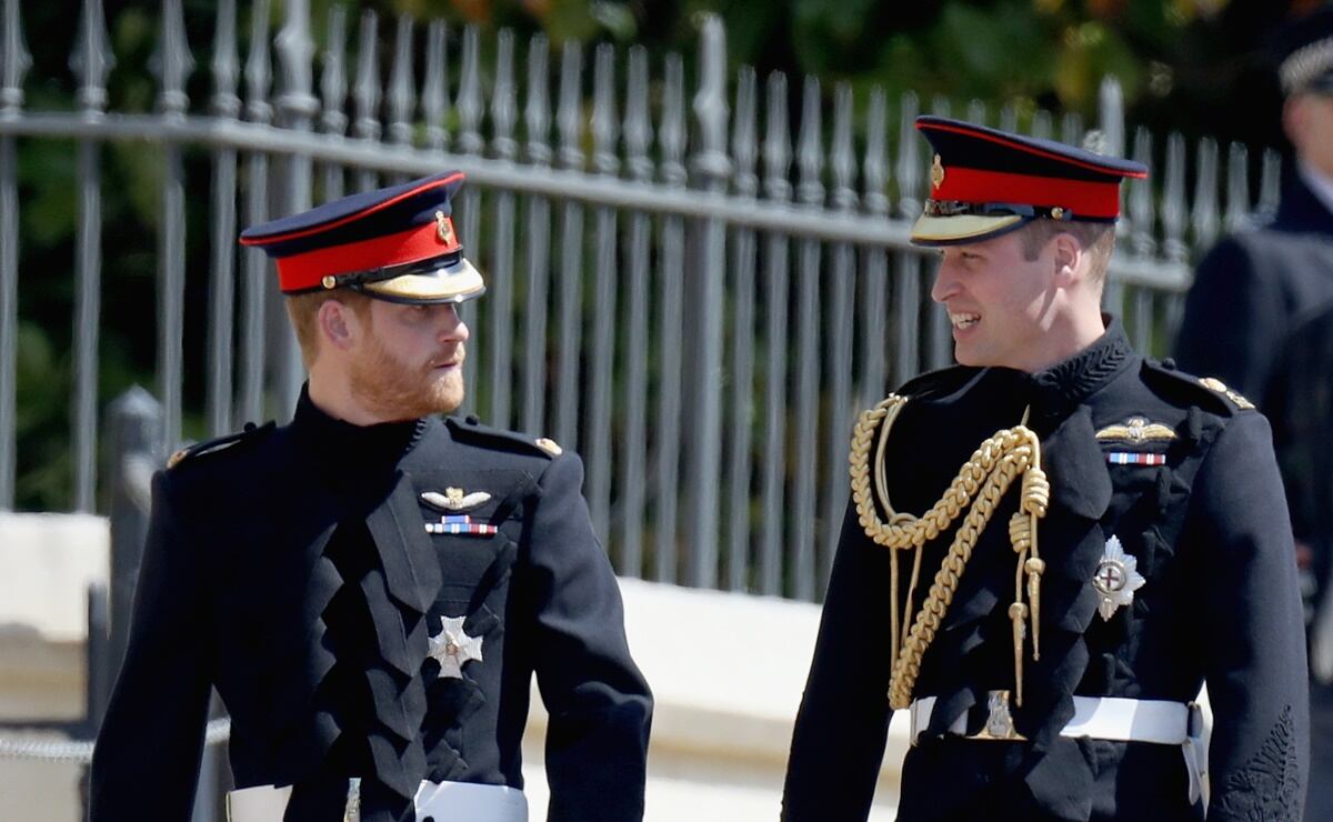 William y Harry dividirán las ganancias del fondo conmemorativo de Diana de Gales