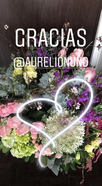 Aurelio Nuño y María Aliaga comparten la primera foto de su bebé