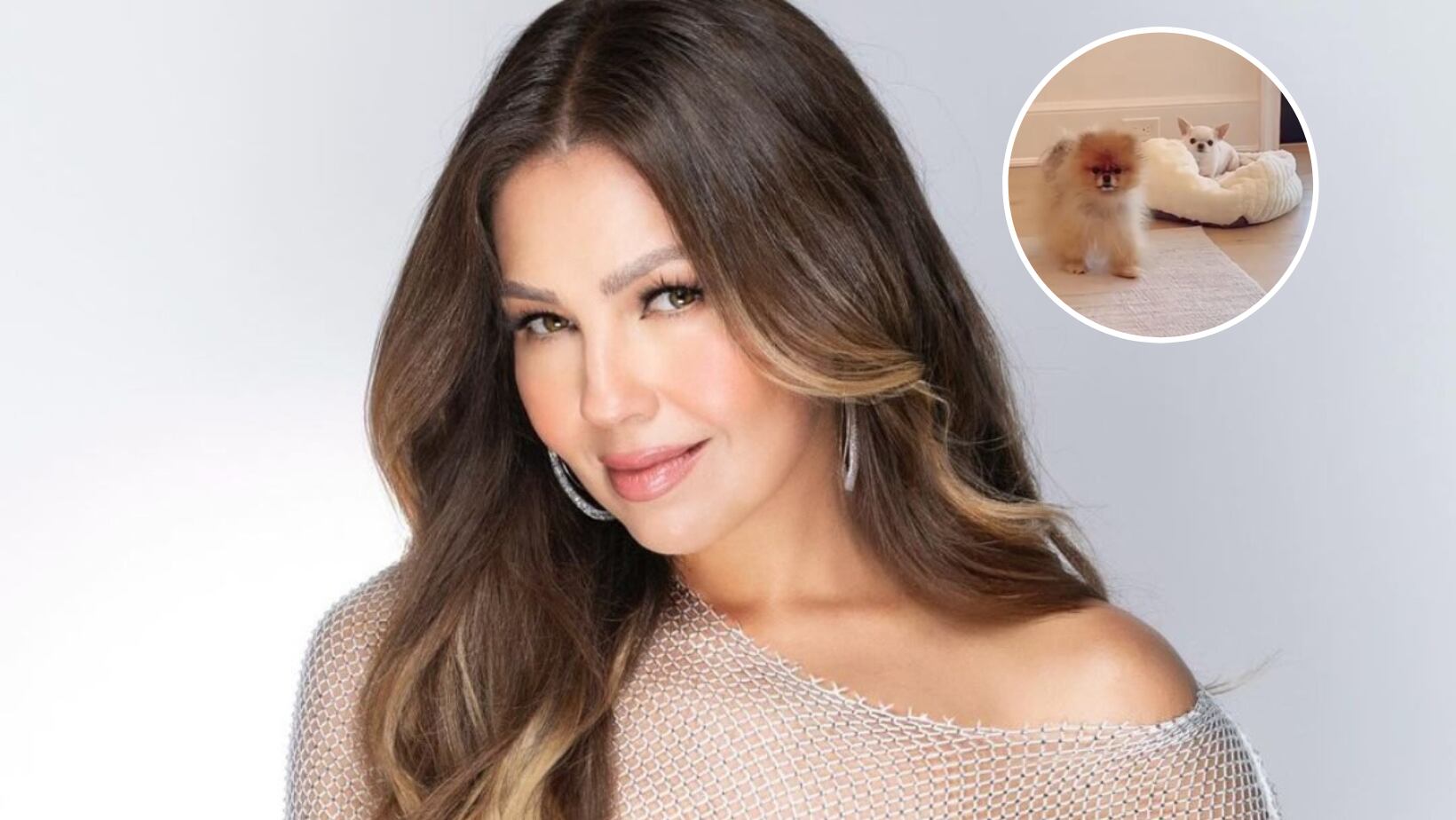 Thalía es involucrada en fuerte polémica por sus perritos de más de 10 años, ¿los abandonó?