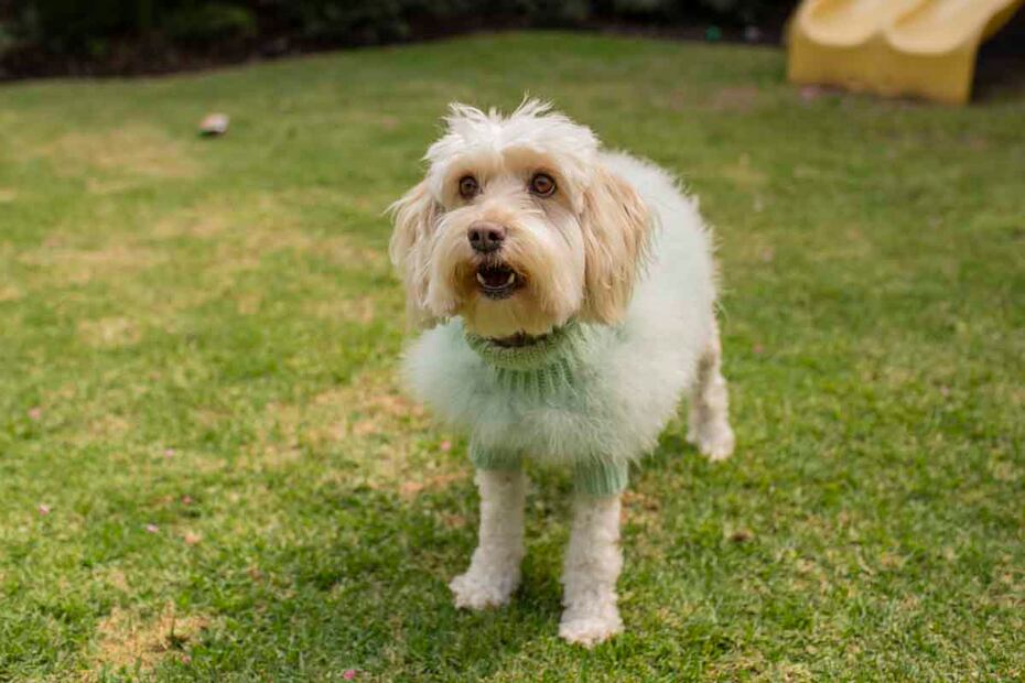 Lola/Esteban Torreblanca.