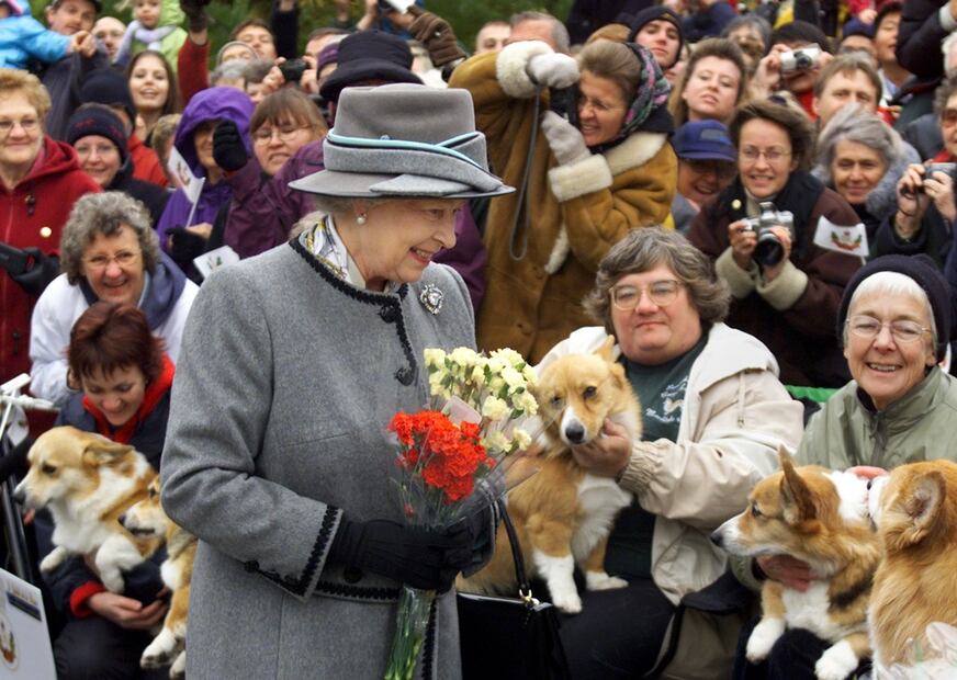 Muere el último corgi de la reina Isabel de Inglaterra