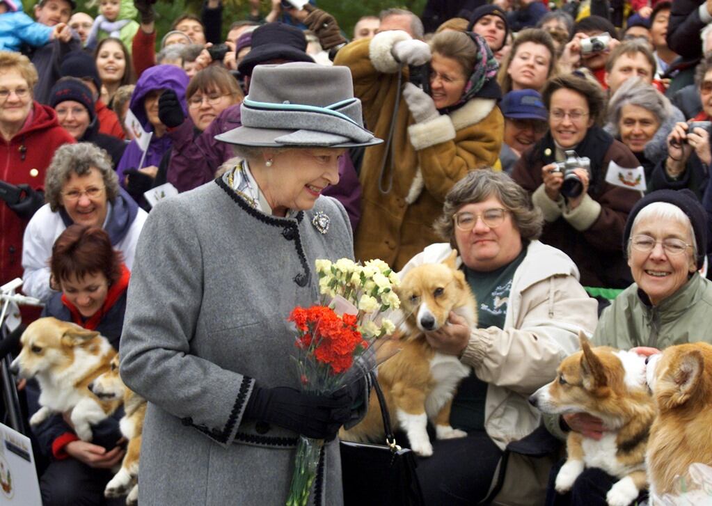 Muere el último corgi de la reina Isabel de Inglaterra