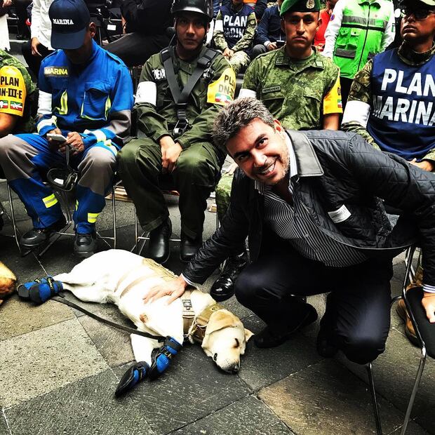 Conoce al “gran Max”, la mascota de Arturo Elias Ayub 